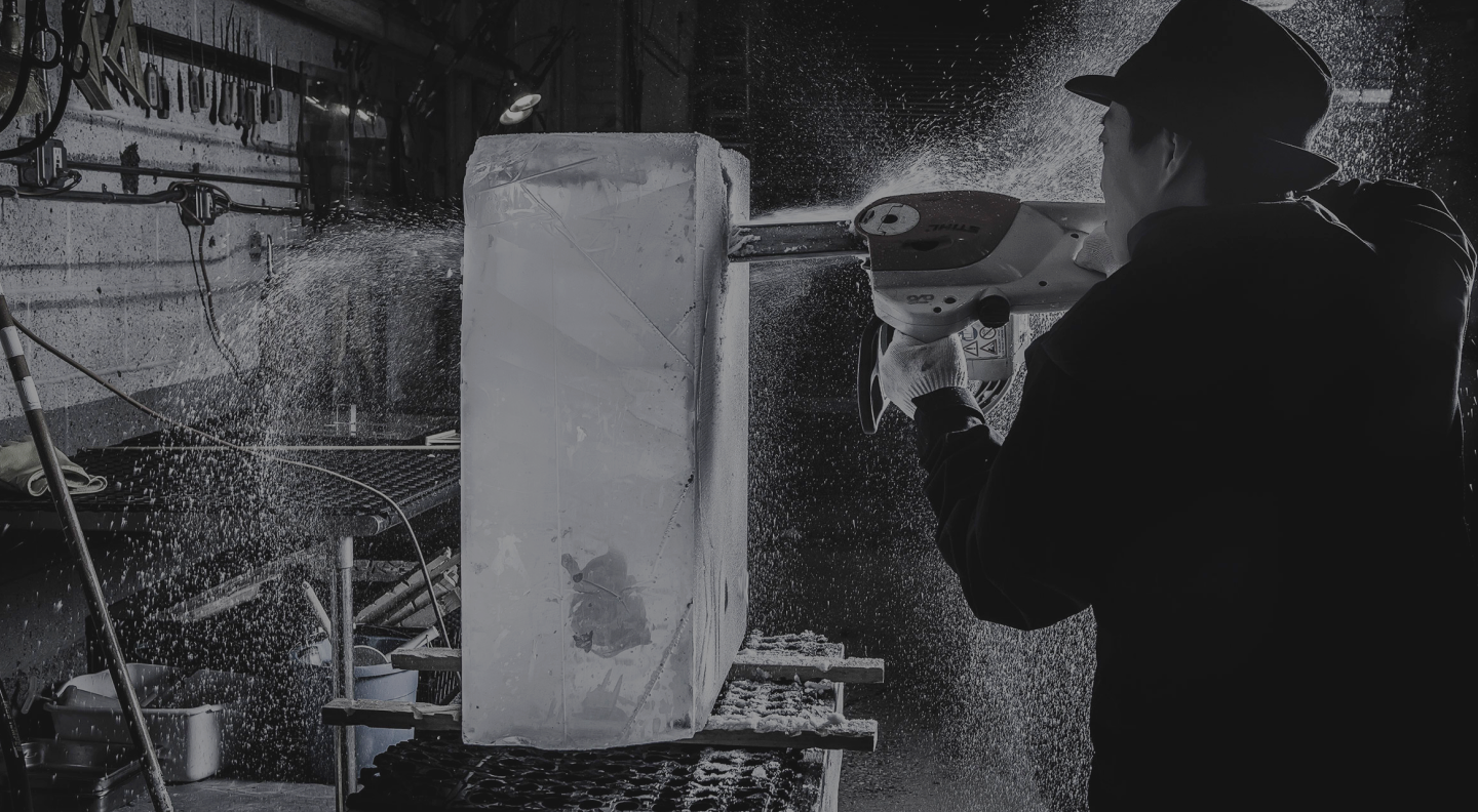 Professional ice equipment | Ice machine company BF Technology 323